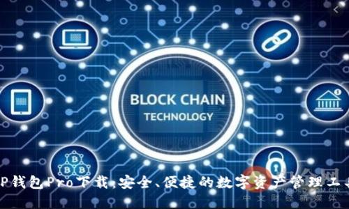 tP钱包Pro下载：安全、便捷的数字资产管理工具