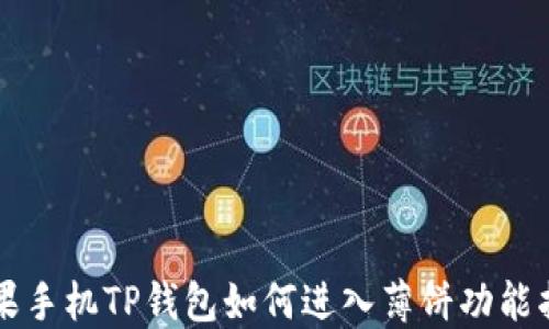 
苹果手机TP钱包如何进入薄饼功能指南