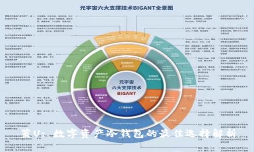 蓝U: 数字资产冷钱包的最佳选择解析