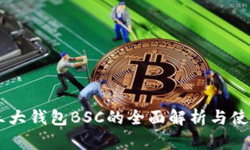 币圈三大钱包BSC的全面解析与使用指南