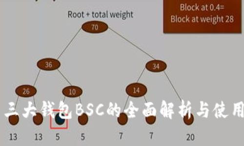 币圈三大钱包BSC的全面解析与使用指南