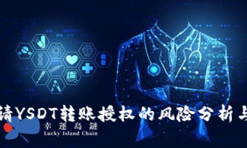 TP钱包申请YSDT转账授权的风险分析与注意事项