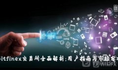 Bitfinex交易所全面解析：用户指南与市场分析
