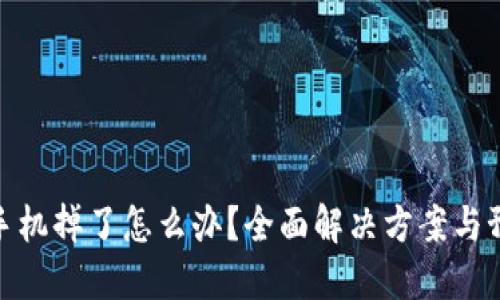 冷钱包手机掉了怎么办？全面解决方案与预防措施