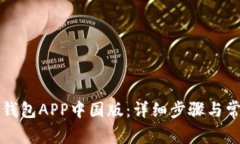 如何下载TP钱包APP中国版：详细步骤与常见问题解
