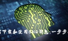 如何下载和使用BHD钱包：一步步指南