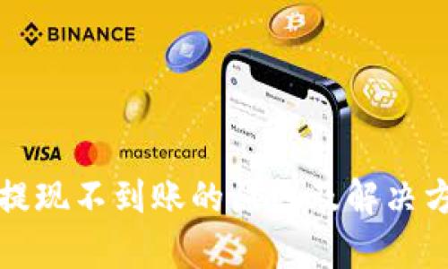 冷钱包提现不到账的原因及解决方案分析