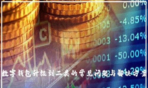 数字钱包升级到二类的常见问题与解决方案