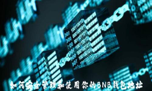 
如何安全管理和使用你的BNB钱包地址