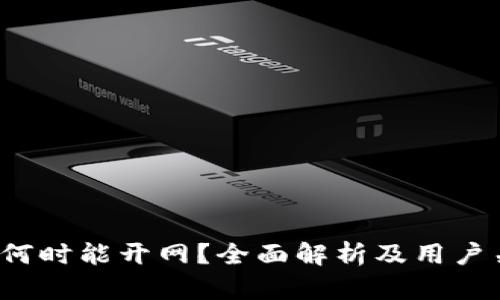 t p钱包何时能开网？全面解析及用户关注问题