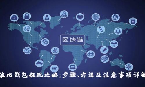 波比钱包提现攻略：步骤、方法及注意事项详解