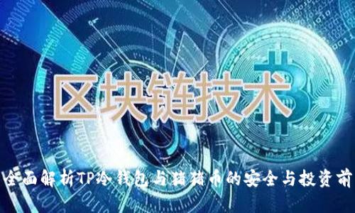 : 全面解析TP冷钱包与猪猪币的安全与投资前景
