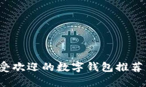 2023年最受欢迎的数字钱包推荐与使用分析