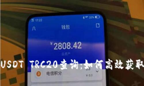 全面解析USDT TRC20查询：如何高效获取实时信息