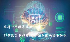 思考一个接近且的TP钱包公钥详解：你必须知道的