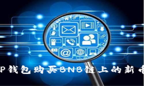 如何通过TP钱包购买BNB链上的新币：详细指南