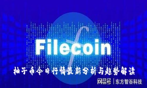 柚子币今日行情最新分析与趋势解读