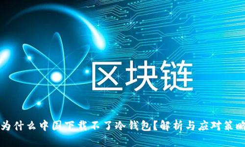 为什么中国下载不了冷钱包？解析与应对策略