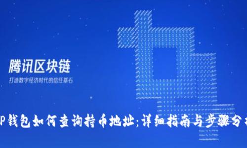 TP钱包如何查询持币地址：详细指南与步骤分析