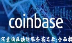 如何查询区块链服务商名称：全面指南