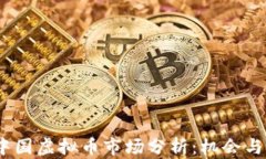 2023年中国虚拟币市场分析：机会与挑战并存