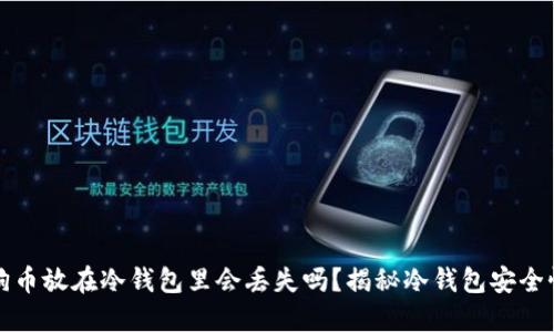 狗币放在冷钱包里会丢失吗？揭秘冷钱包安全性