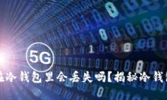 狗币放在冷钱包里会丢失吗？揭秘冷钱包安全性