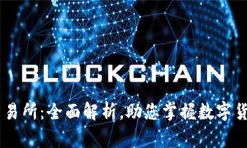 BitOffer交易所：全面解析，助您掌握数字货币交易平台