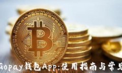 全面解析Gopay钱包App：使用指南与常见问题解答