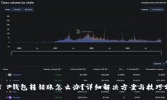 虚T P钱包转错账怎么办？详细解决方案与技巧分