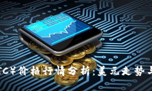 今日比特币（BTC）价格行情分析：美元走势与市场影响因素