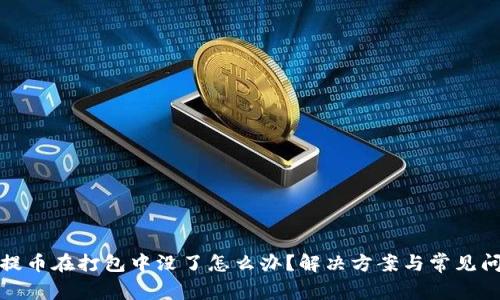 TP钱包提币在打包中没了怎么办？解决方案与常见问题解答