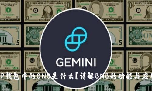 TP钱包中的BNB是什么？详解BNB的功能与应用