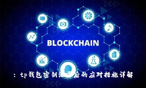 : tp钱包密钥泄露后的应对措施详解