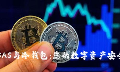深入了解SAS与冷钱包：您的数字资产安全解决方案