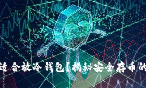 什么币适合放冷钱包？揭秘安全存币的新选择