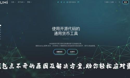  冰币钱包点不开的原因及解决方案，助你轻松应对资产管理