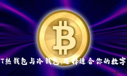深入解析USDT热钱包与冷钱包：选择适合你的数字资产存储方式