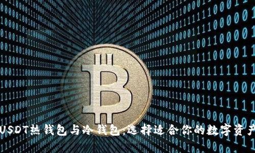 深入解析USDT热钱包与冷钱包：选择适合你的数字资产存储方式