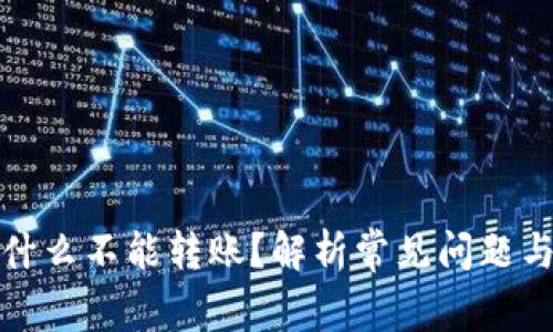 TP钱包为什么不能转账？解析常见问题与解决方案