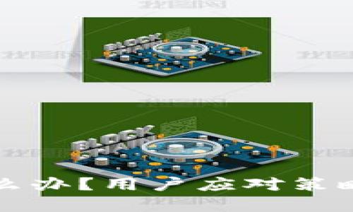 TP钱包倒闭了怎么办？用户应对策略与后续操作指南