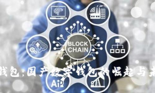 tp官方钱包：国产数字钱包的崛起与未来发展