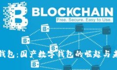 tp官方钱包：国产数字钱包的崛起与未来发展