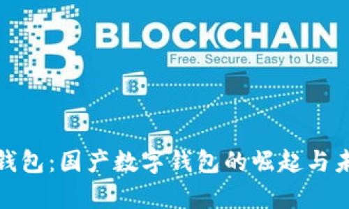 tp官方钱包：国产数字钱包的崛起与未来发展