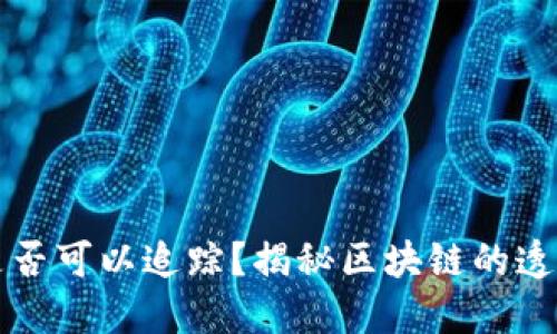 虚拟币交易是否可以追踪？揭秘区块链的透明性与隐私性