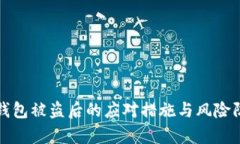 tp钱包被盗后的应对措施与风险防范