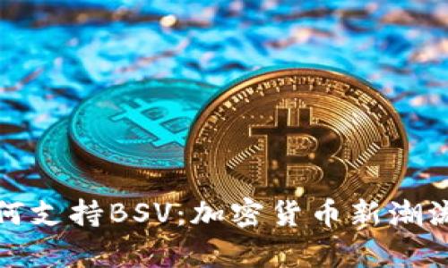 tp钱包如何支持BSV：加密货币新潮流的引领者