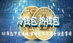 BK钱包下载攻略：实时更新与安全注意事项