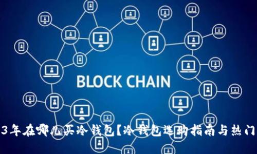 2023年在哪儿买冷钱包？冷钱包选购指南与热门推荐