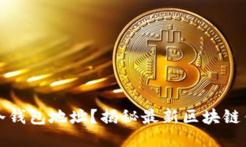 如何查找TP冷钱包地址？揭秘最新区块链钱包使用技巧